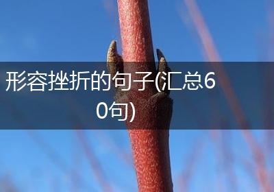 形容挫折的句子(汇总60句)