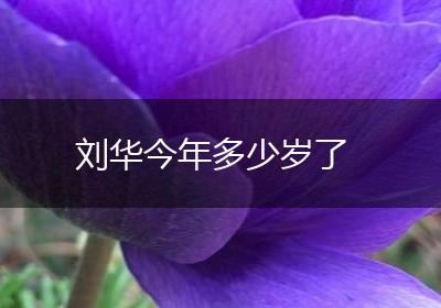 刘华今年多少岁了