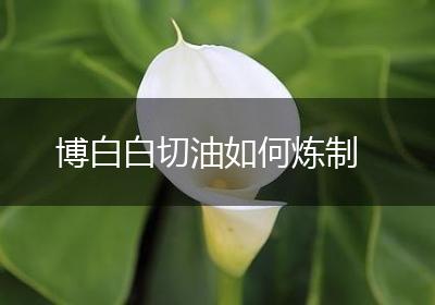 博白白切油如何炼制