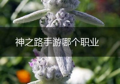 神之路手游哪个职业