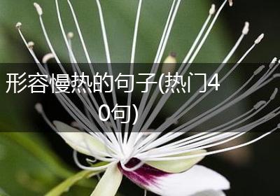 形容慢热的句子(热门40句)