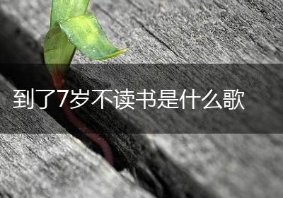 到了7岁不读书是什么歌