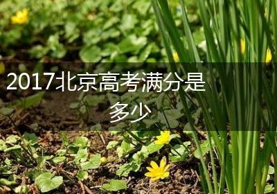 2017北京高考满分是多少