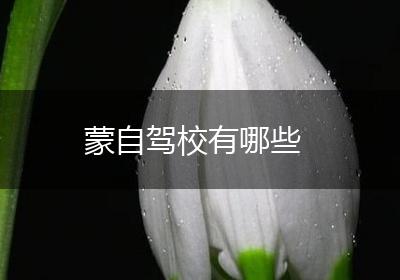 蒙自驾校有哪些