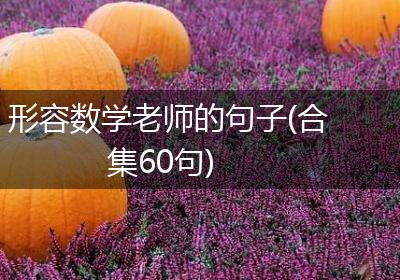 形容数学老师的句子(合集60句)