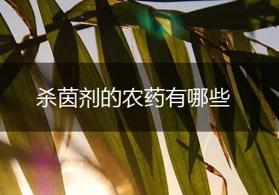 杀茵剂的农药有哪些
