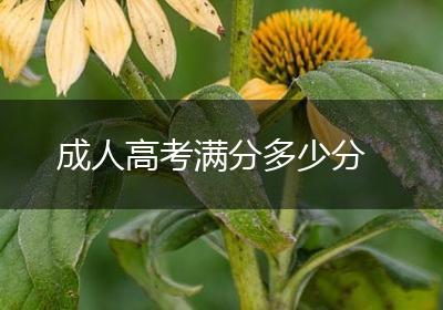 成人高考满分多少分