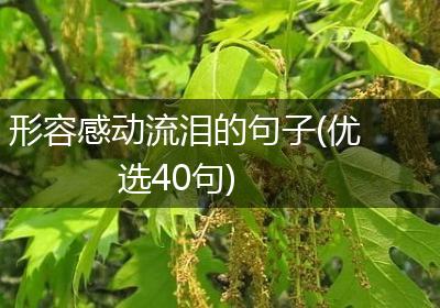 形容感动流泪的句子(优选40句)