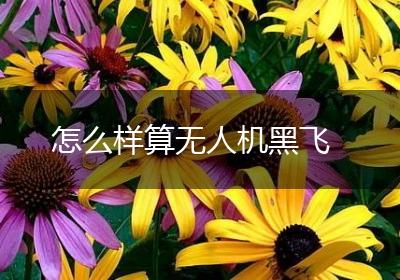 怎么样算无人机黑飞