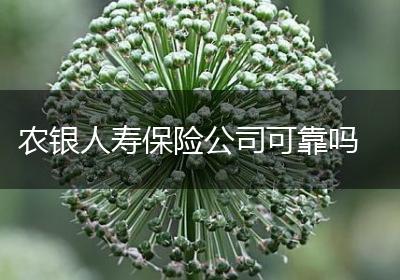 农银人寿保险公司可靠吗