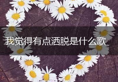 我觉得有点洒脱是什么歌