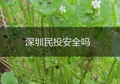 深圳民投安全吗