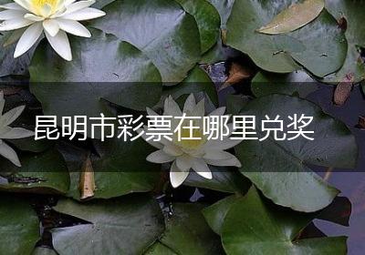 昆明市彩票在哪里兑奖