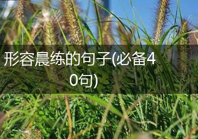 形容晨练的句子(必备40句)