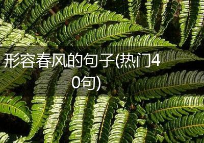 形容春风的句子(热门40句)