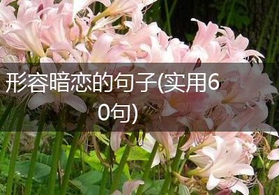形容暗恋的句子(实用60句)