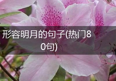形容明月的句子(热门80句)