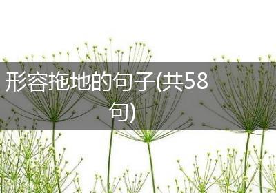 形容拖地的句子(共58句)