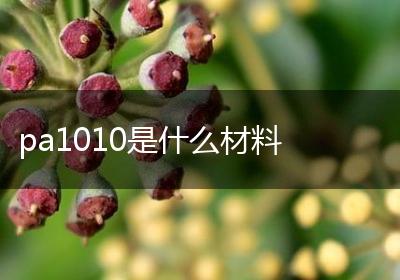 pa1010是什么材料
