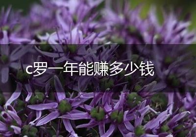 c罗一年能赚多少钱