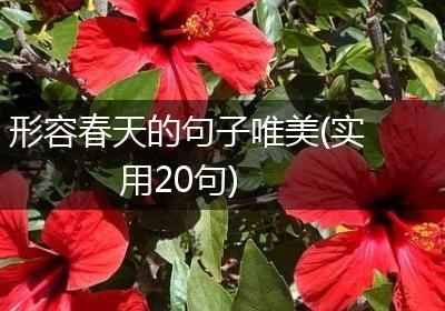 形容春天的句子唯美(实用20句)