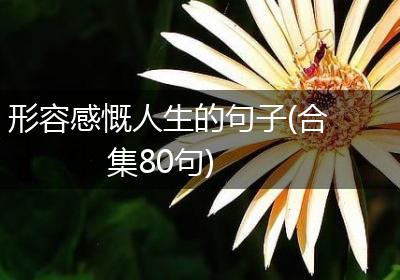 形容感慨人生的句子(合集80句)