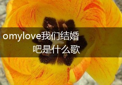 omylove我们结婚吧是什么歌