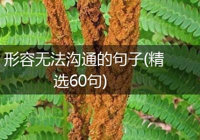 形容无法沟通的句子(精选60句)