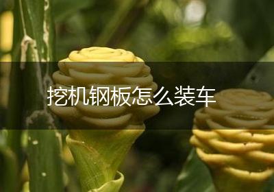 挖机钢板怎么装车
