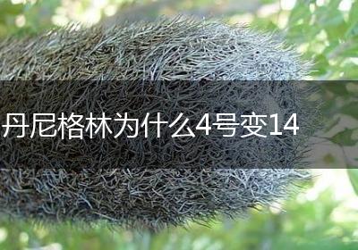 丹尼格林为什么4号变14