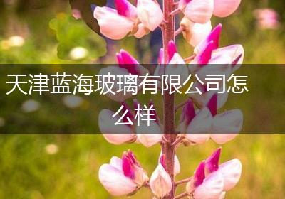 天津蓝海玻璃有限公司怎么样