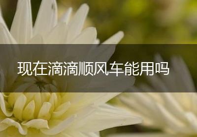 现在滴滴顺风车能用吗