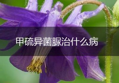 甲硫异菌脲治什么病