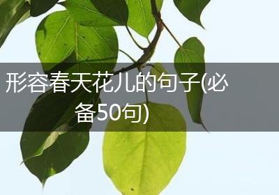 形容春天花儿的句子(必备50句)