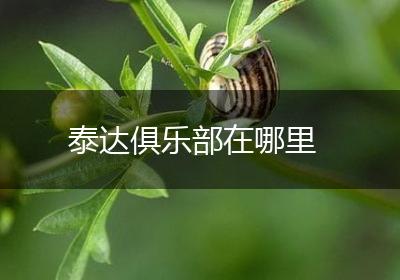 泰达俱乐部在哪里
