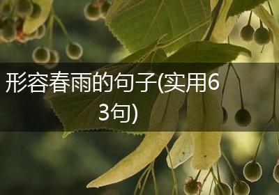 形容春雨的句子(实用63句)