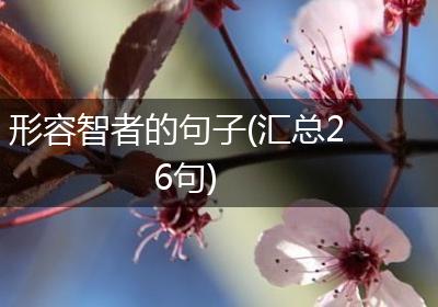 形容智者的句子(汇总26句)