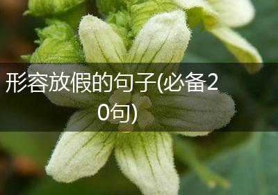 形容放假的句子(必备20句)