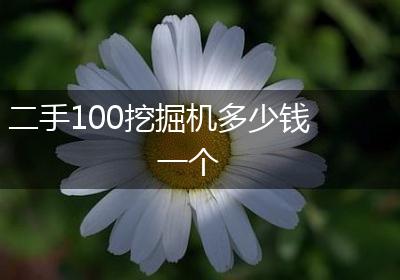 二手100挖掘机多少钱一个