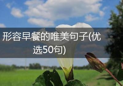 形容早餐的唯美句子(优选50句)
