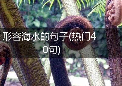 形容海水的句子(热门40句)
