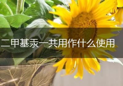 二甲基汞一共用作什么使用