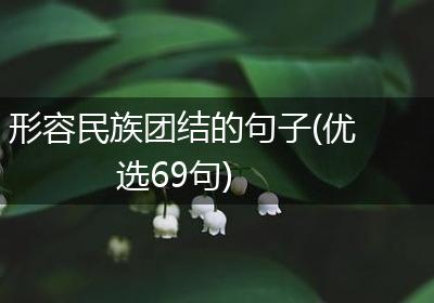 形容民族团结的句子(优选69句)