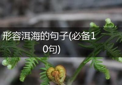 形容洱海的句子(必备10句)
