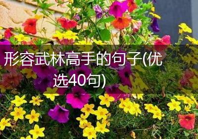 形容武林高手的句子(优选40句)