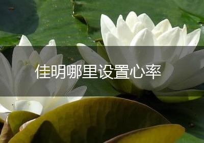佳明哪里设置心率