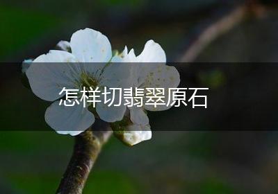 怎样切翡翠原石