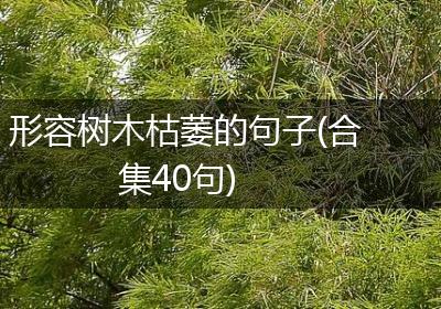 形容树木枯萎的句子(合集40句)