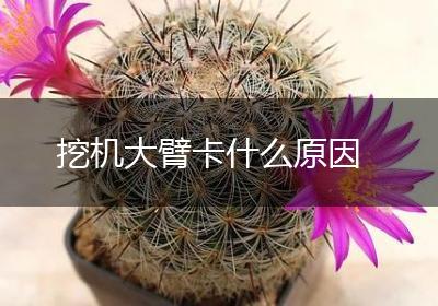 挖机大臂卡什么原因