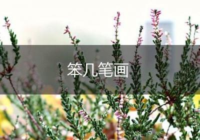 笨几笔画